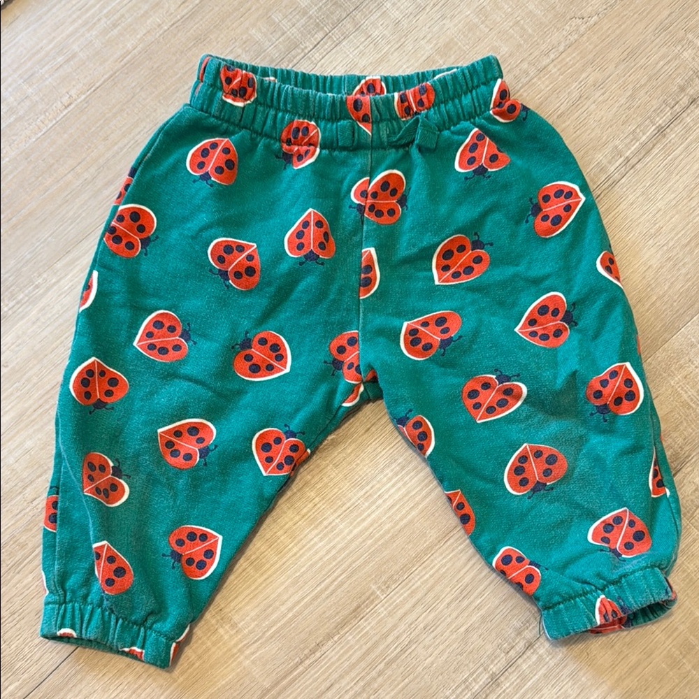 Hanna Andersson Green Pants with Ladybug Print